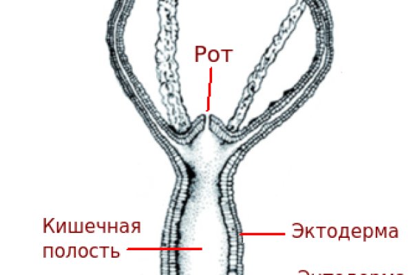 Kraken 16 at сайт