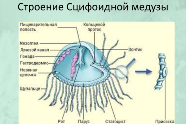 Кракен шоп зеркало