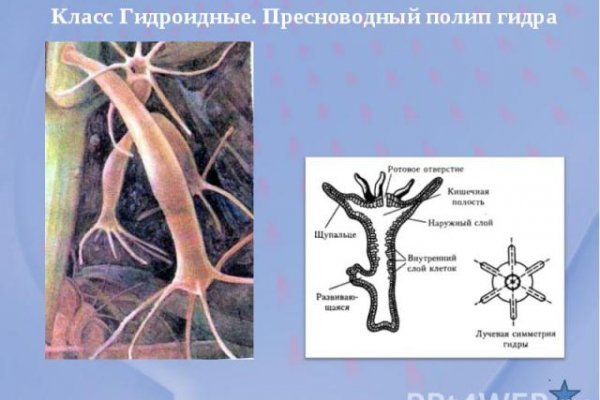 Пользователь не найден кракен даркнет